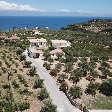 Tassos 2 *