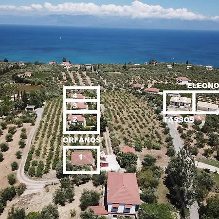Tassos 2 *
